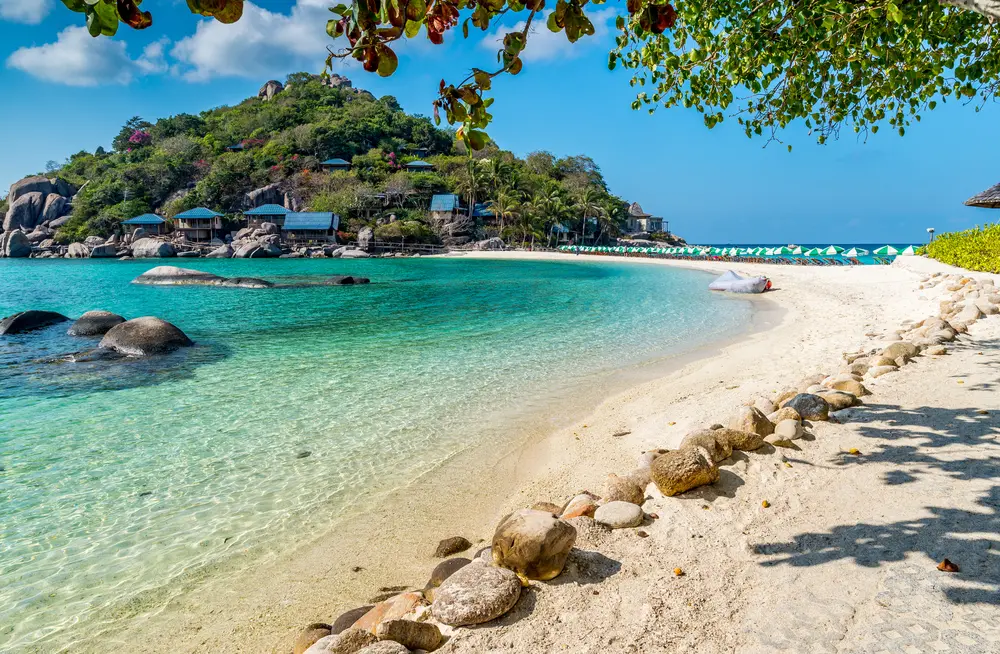 Simpson Marine - PATTAYA