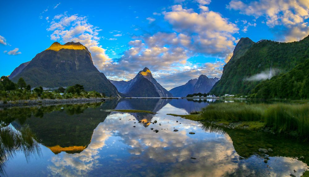 Simpson Marine - NEW ZEALAND