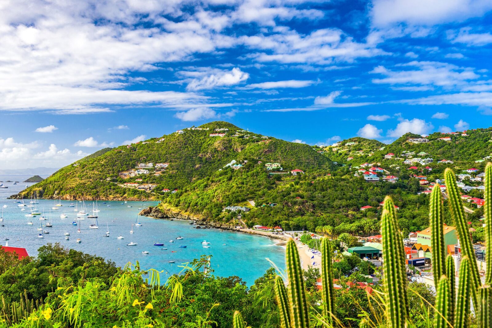 Simpson Marine - CARIBBEAN