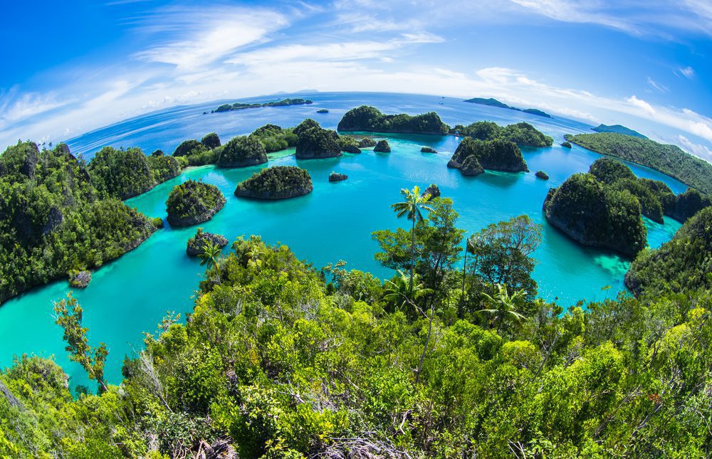Simpson Marine - RAJA AMPAT